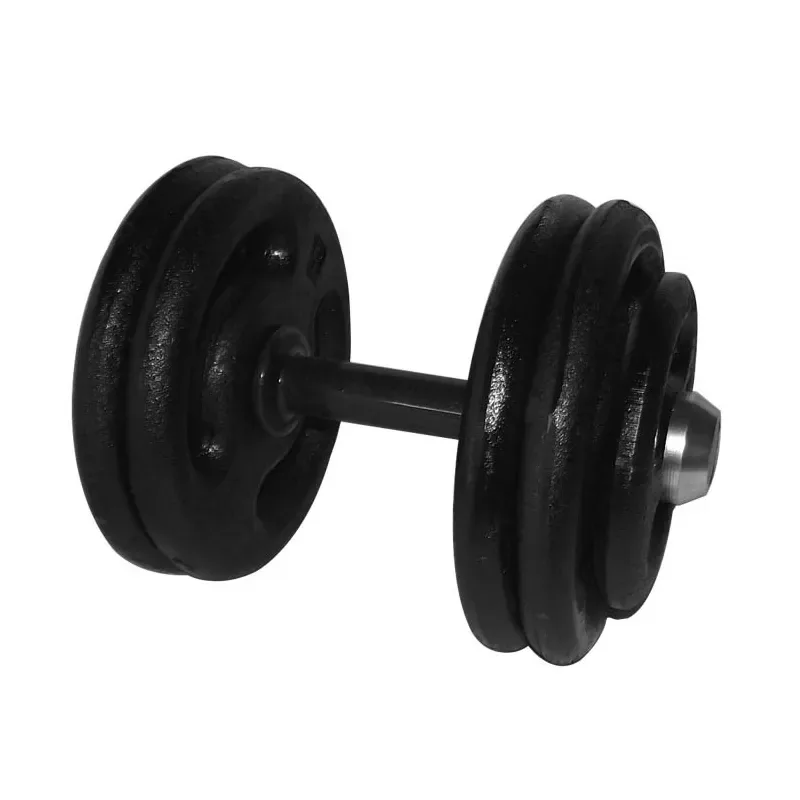 Dumbbell Pintado c/ Pegada Emborrachada 26kg KENRA — foto do equipamento